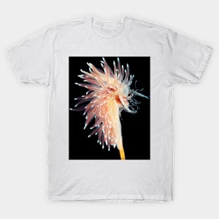 Sea slug (C021/6812) T-Shirt